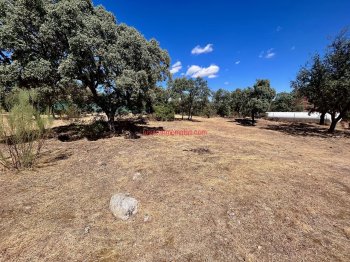 Foto de Terreno en Las Matas