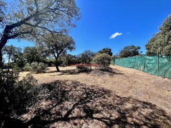 Foto de Terreno en Las Matas